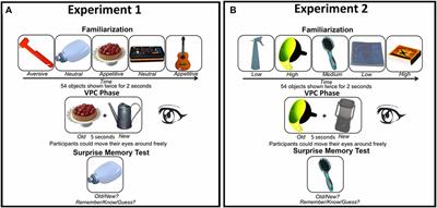 Memory Performance for Everyday Motivational and Neutral Objects Is Dissociable from Attention